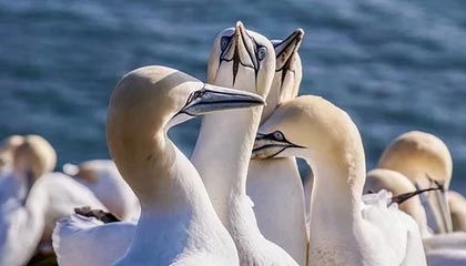 开云体育官网-卢森堡队在足球比赛中取得惊人胜利，欧国联卢森堡对塞浦路斯